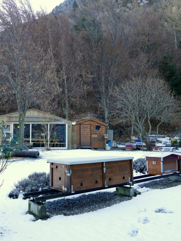 Rucher hiver 2022