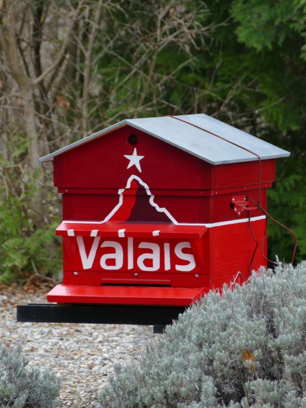 Rucher du Valais